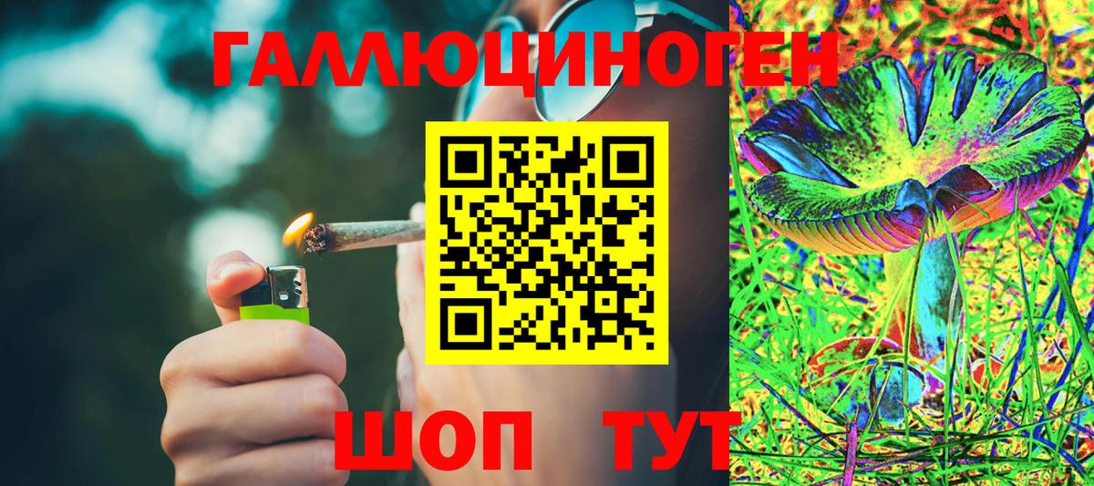 Галлюциногенные грибы мицелий  Псилоцибиновые грибы Cubensis  Вход с VPN  Ессентуки 